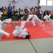Interclub-mai-2019-poussins-judo-club-vermand-036