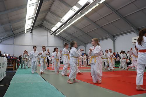 Interclub-mai-2019-poussins-judo-club-vermand-026