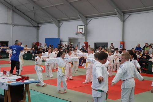 Interclub-mai-2019-poussins-judo-club-vermand-027