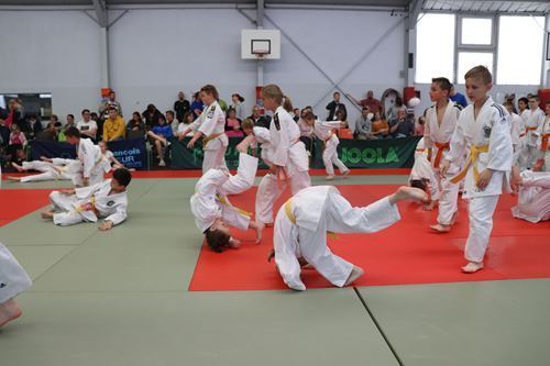 Interclub-mai-2019-poussins-judo-club-vermand-031
