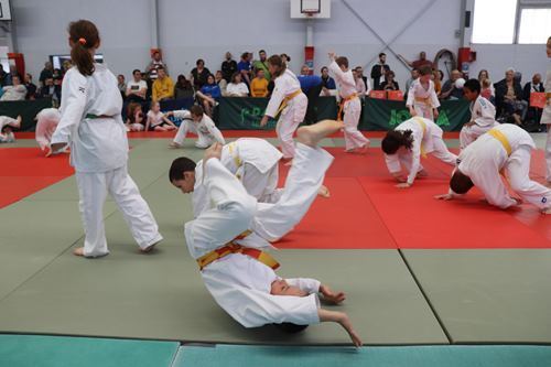 Interclub-mai-2019-poussins-judo-club-vermand-034
