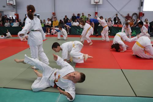 Interclub-mai-2019-poussins-judo-club-vermand-035