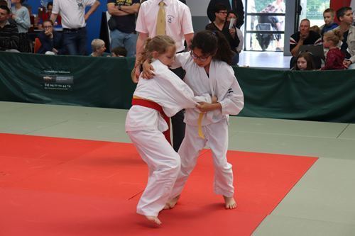 Interclub-mai-2019-poussins-judo-club-vermand-084