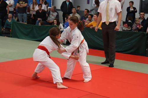 Interclub-mai-2019-poussins-judo-club-vermand-113