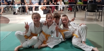 Entrainement-judo-057